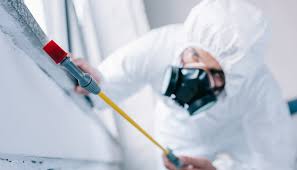 Real Estate Pest Inspections in Wheelersburg, OH